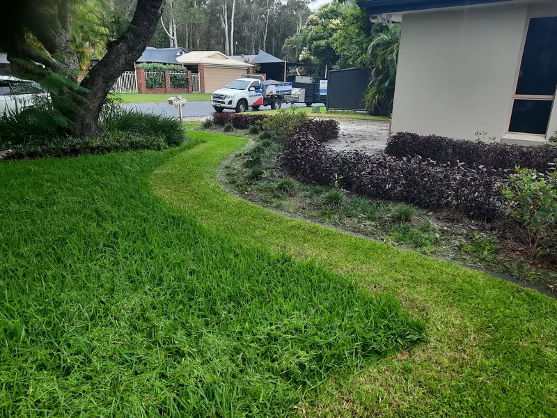 Freshly mown lawn with a clean curved edge