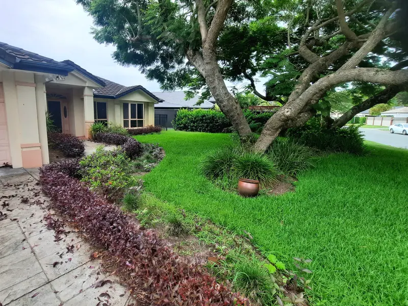 Front garden before the tidy-up, with overgrown beds, a ragged lawn edge and leaves across the path